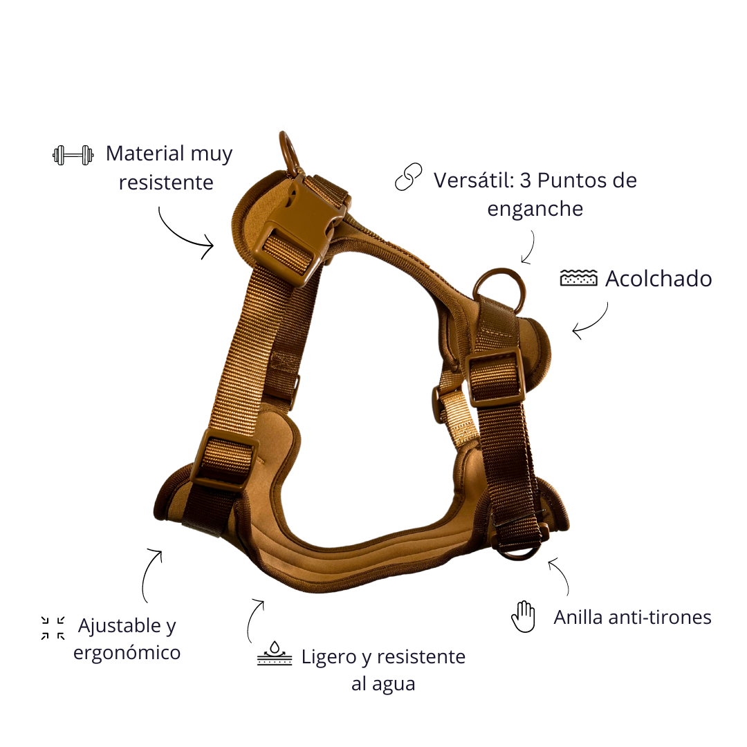 Kit aventure aventure dans le désert