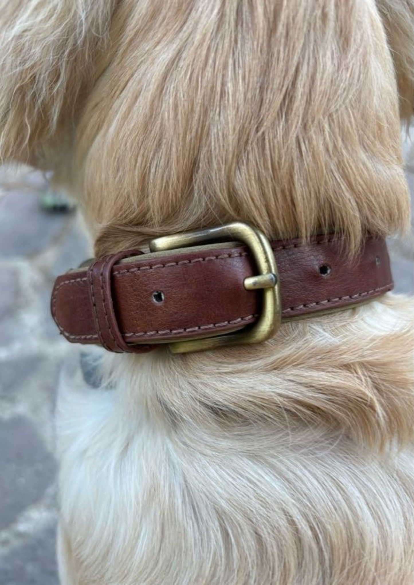 Collier Élégance