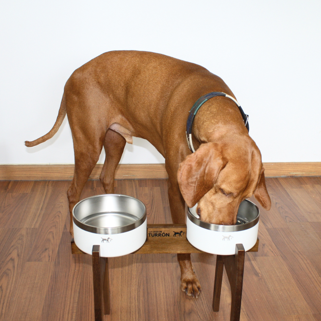 Nordic double elevated feeder