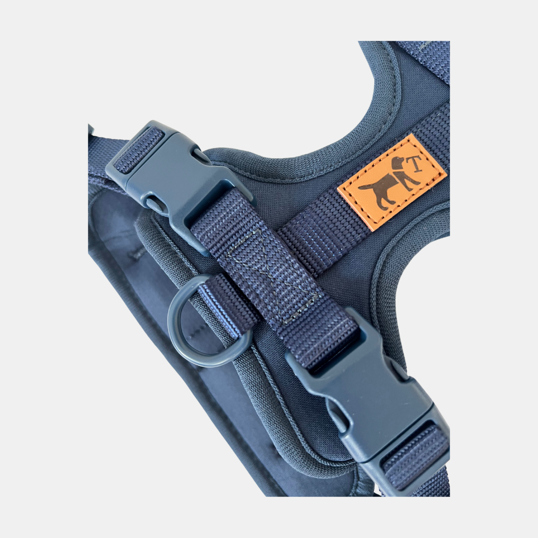 Harnais Adventure Ocean