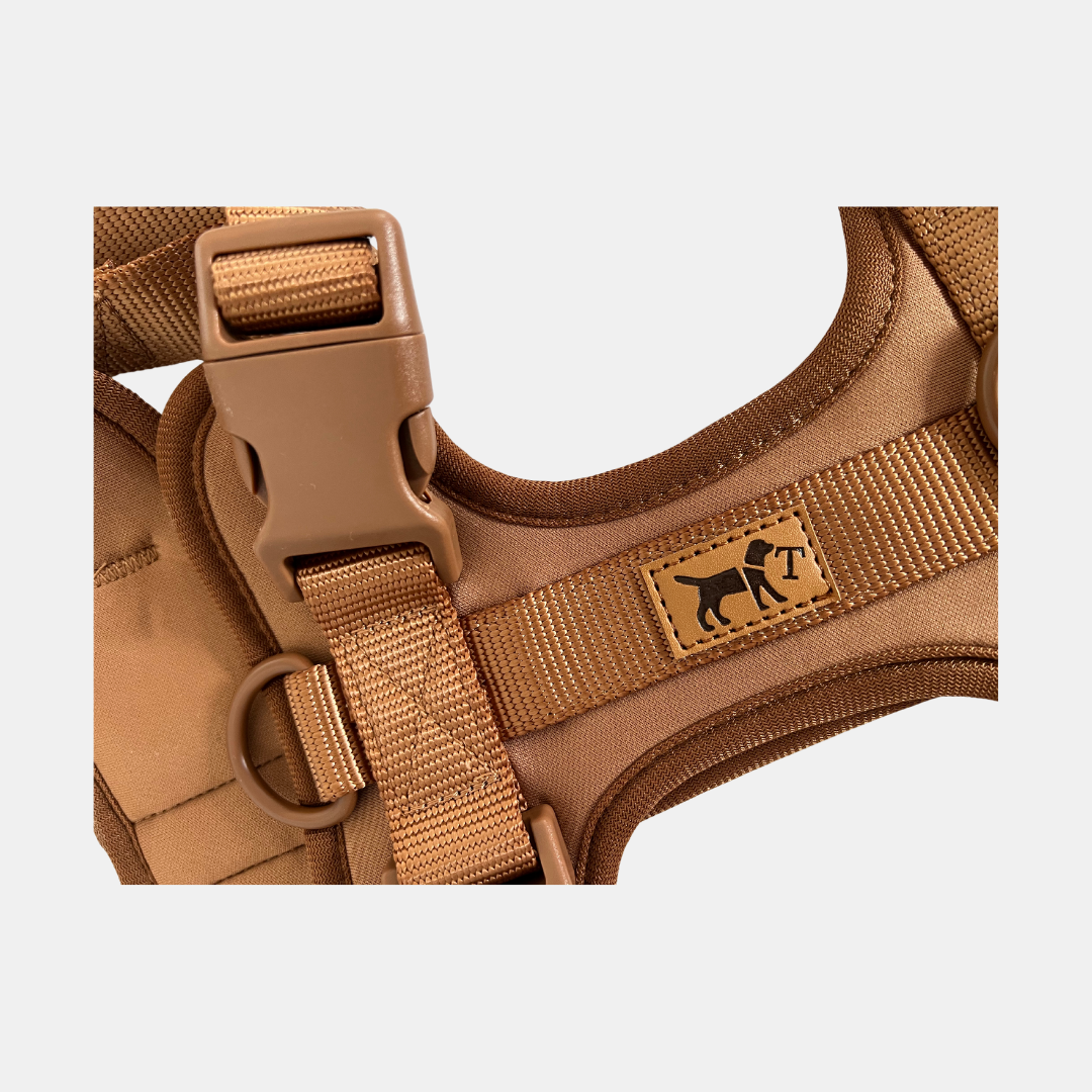 Kit aventure aventure dans le désert