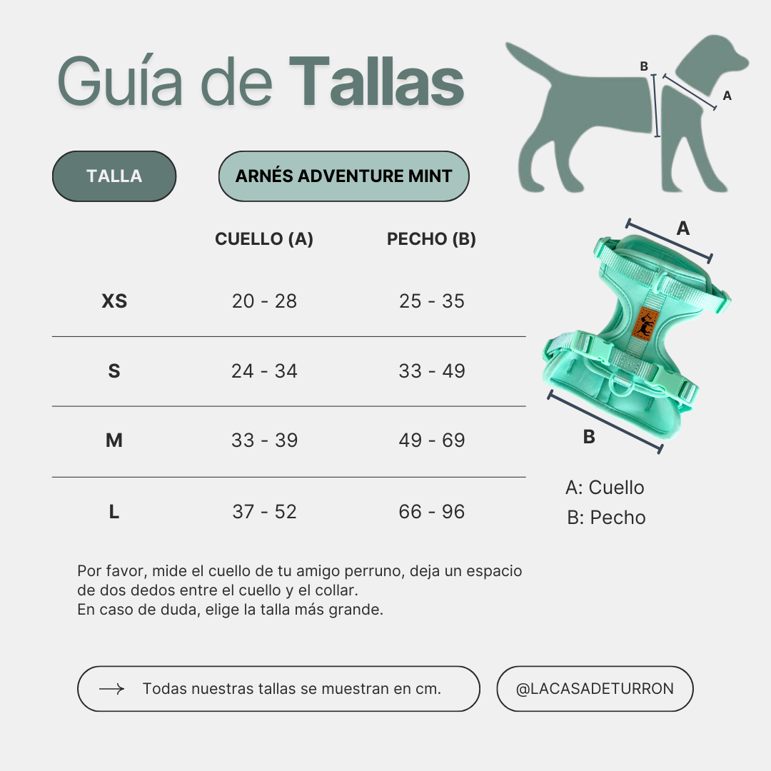 Harnais Aventure Jungle