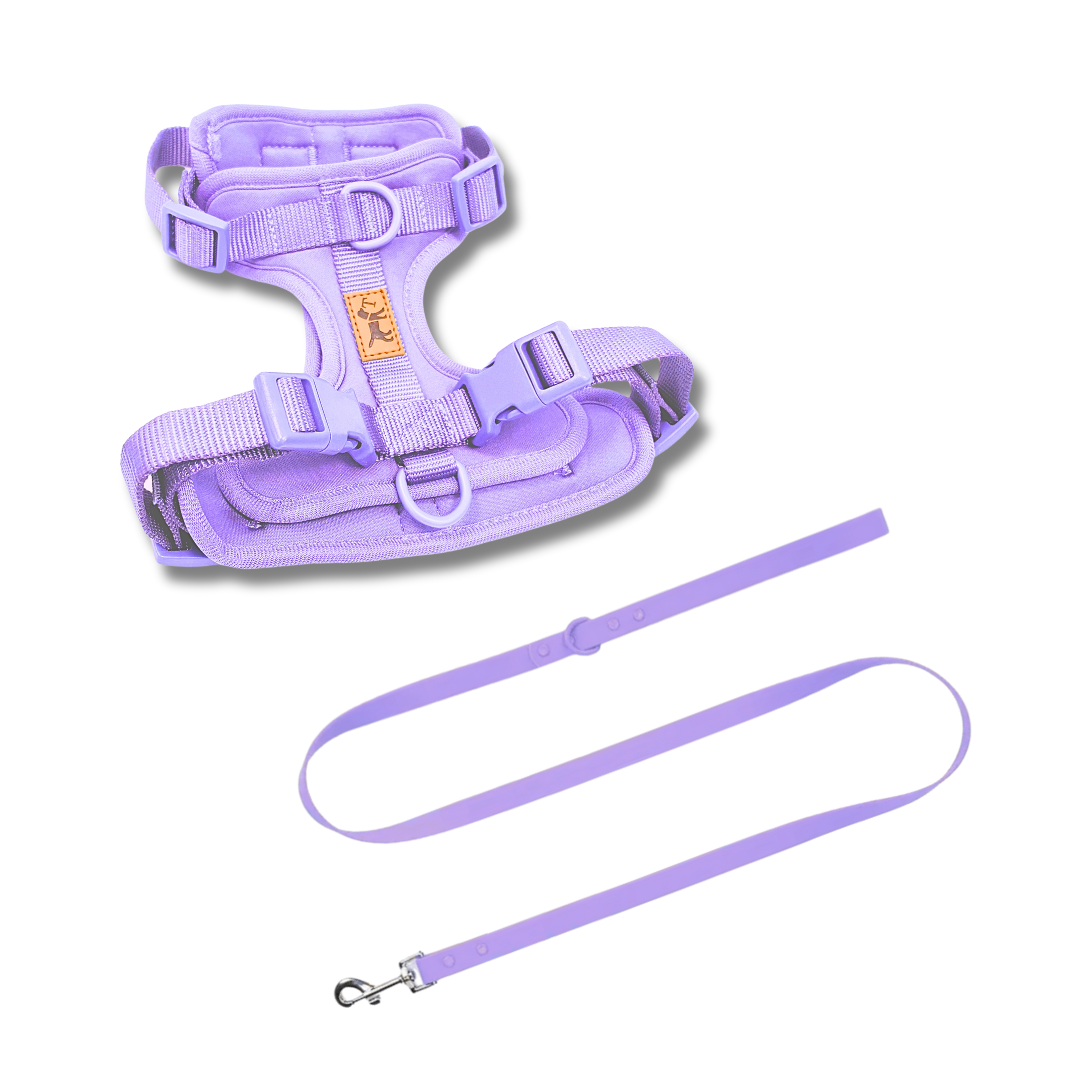 Kit de Paseo Adventure Lavender