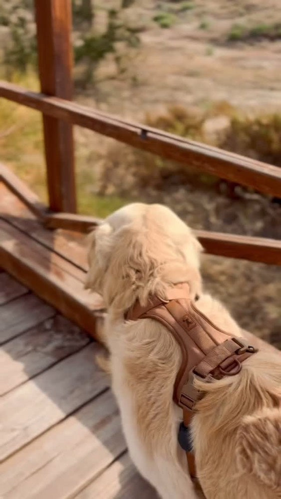 Un paseo con Adventure Desert