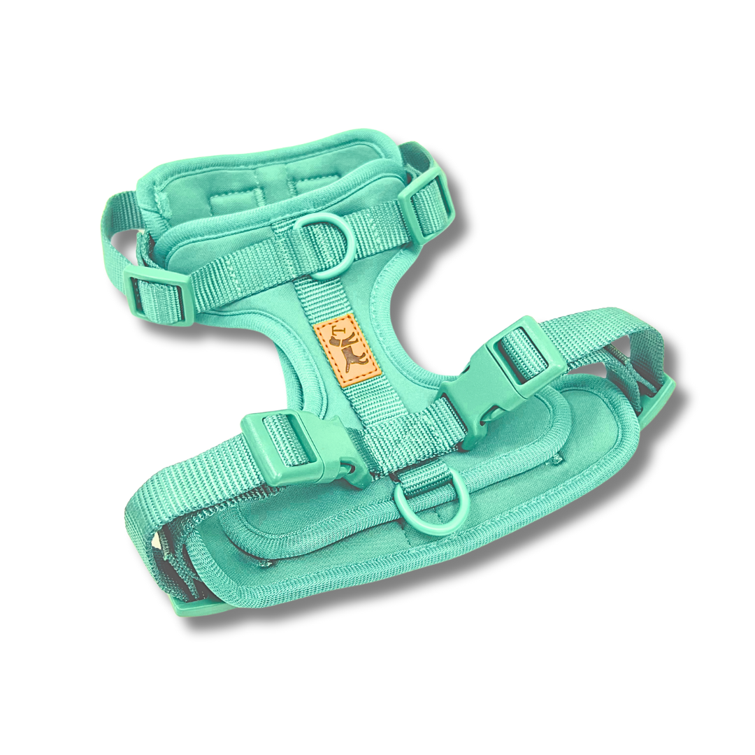 Correa AirTrail | Ligera, impermeable y resistente