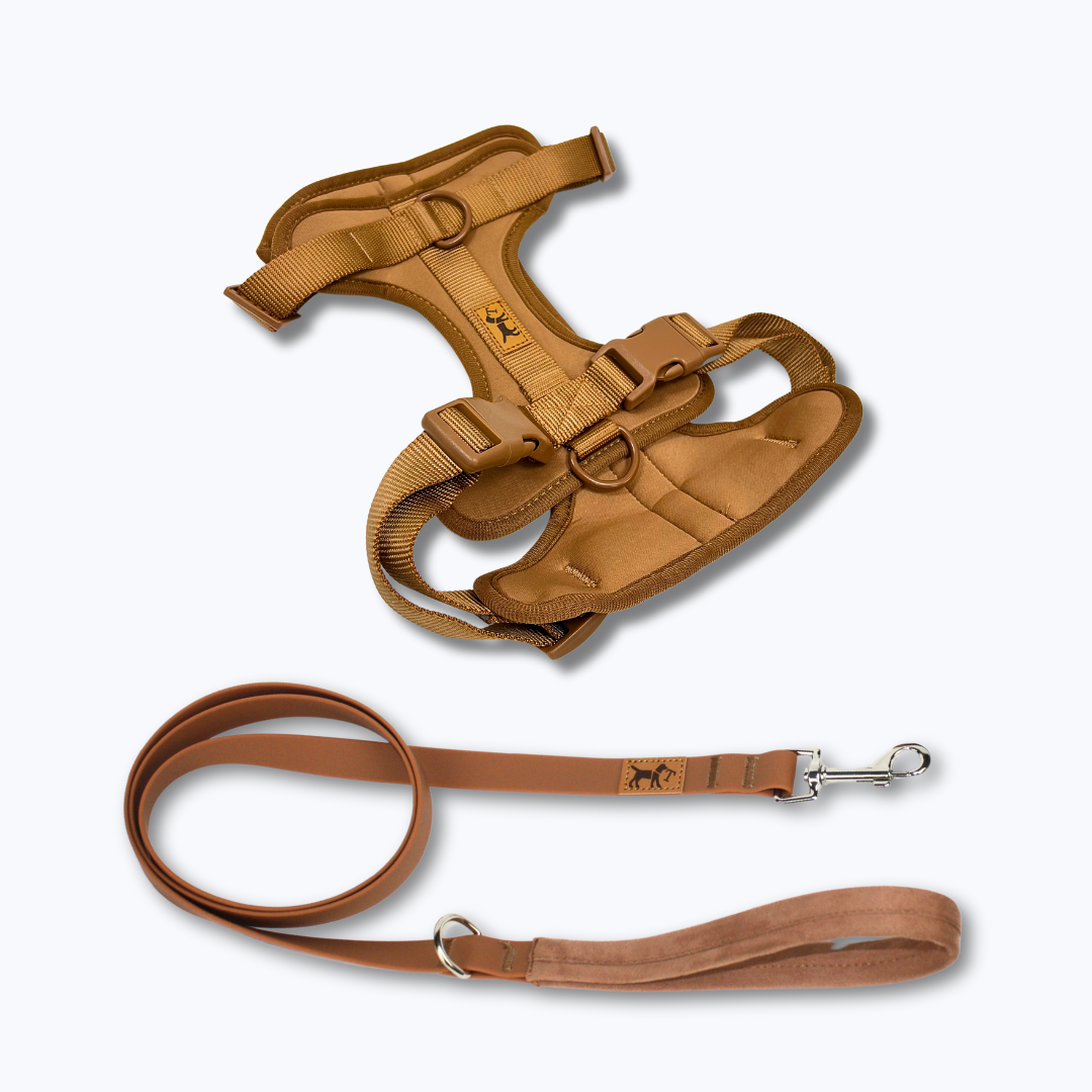 Kit de Paseo Bariloche