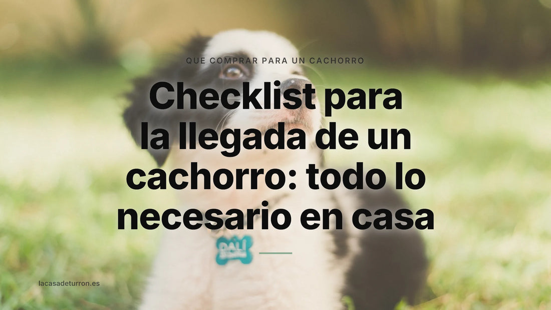Checklist para la llegada de un cachorro: todo lo necesario en casa