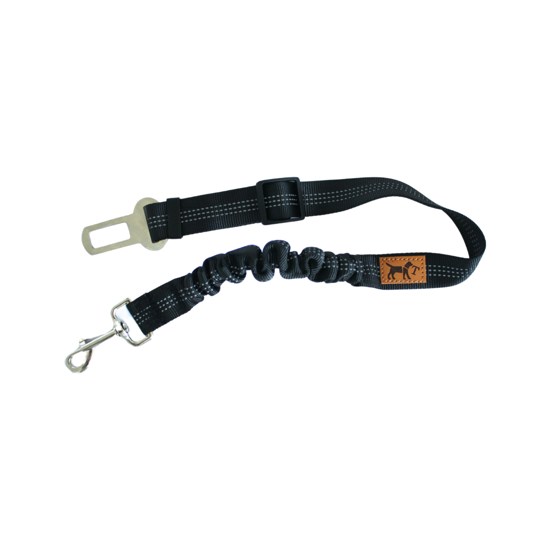 Car seat belt for dogs 