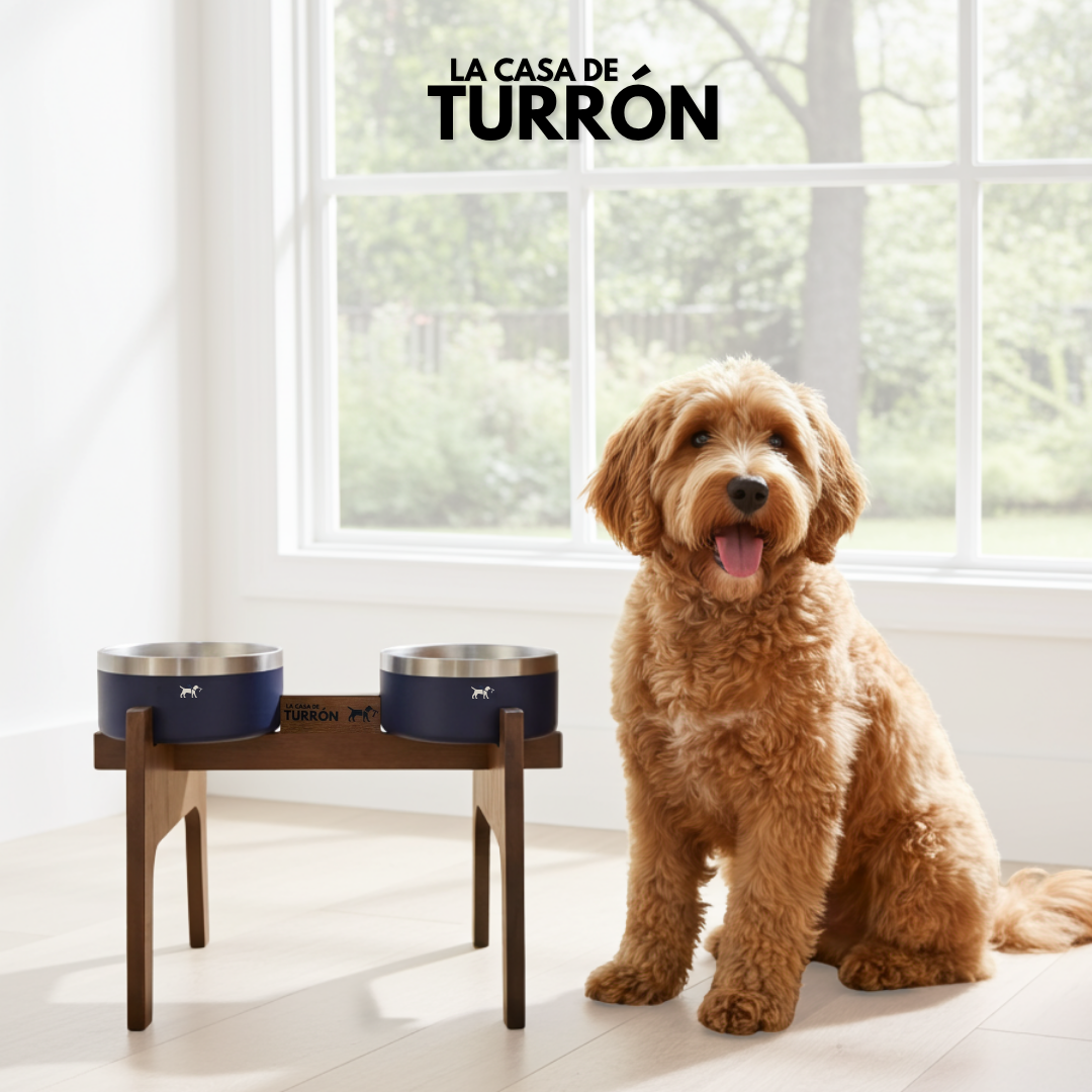 Nordic double elevated feeder