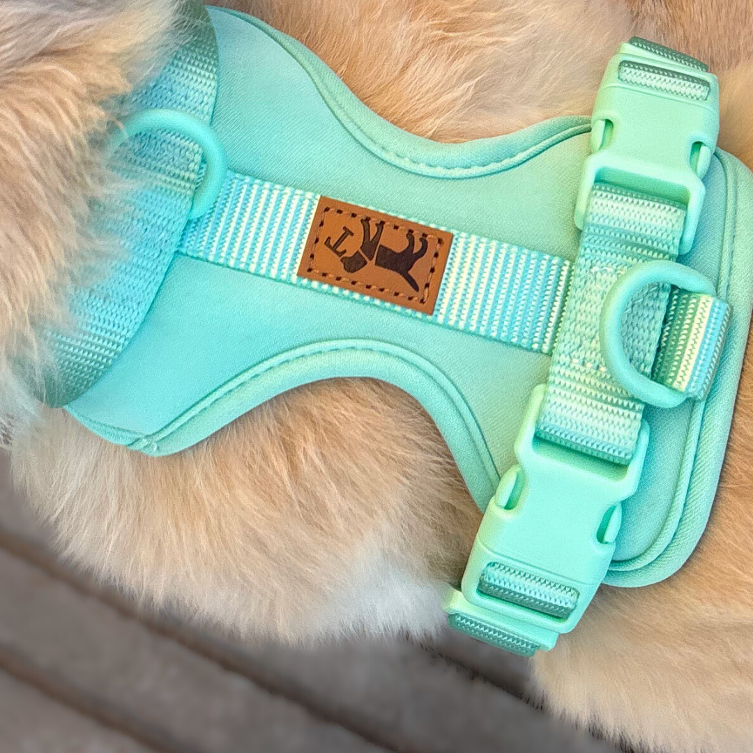 Adventure Harness Jungle