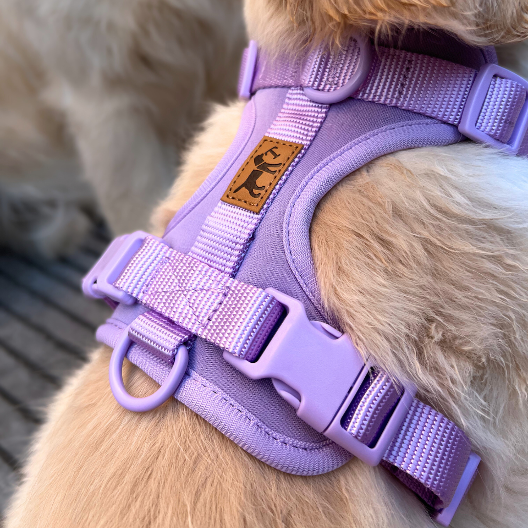 Adventure Harness Jungle