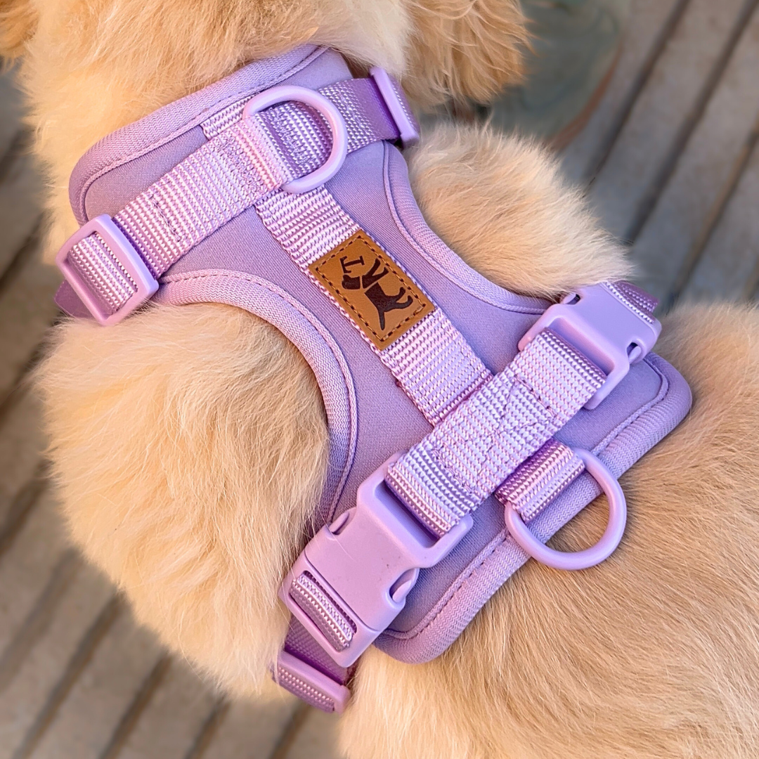 Adventure Harness Jungle