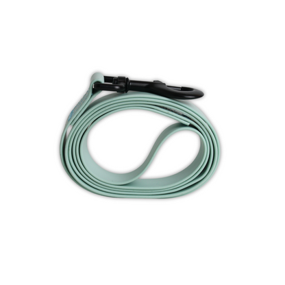 AquaSoft Strap