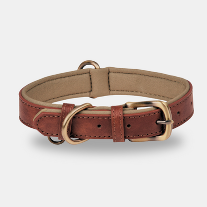 Elegance Leather Collar