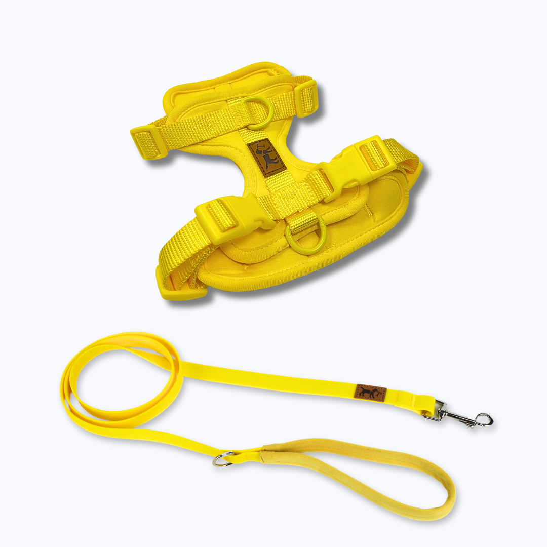 Adventure Beach Walk Kit