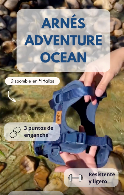 Adventure Harness Ocean